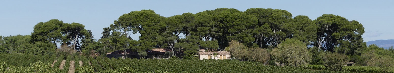 Accès au Domaine Grangette à Montagnac